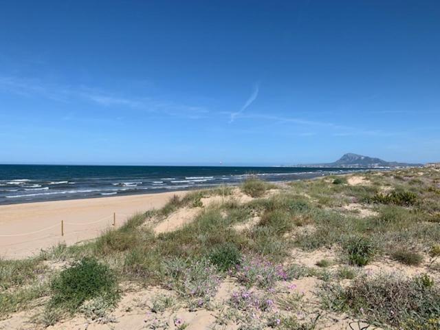 Palmeras En La Playa – Beach House In Oliva