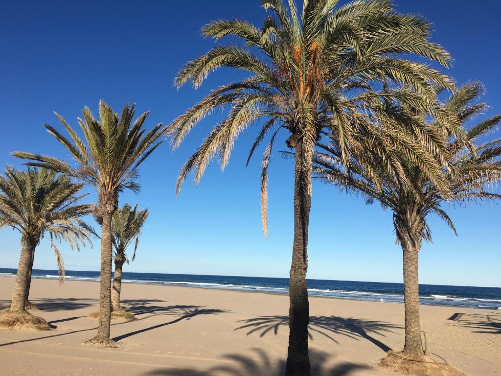 Nuevo Apartamento Elegante Gandia