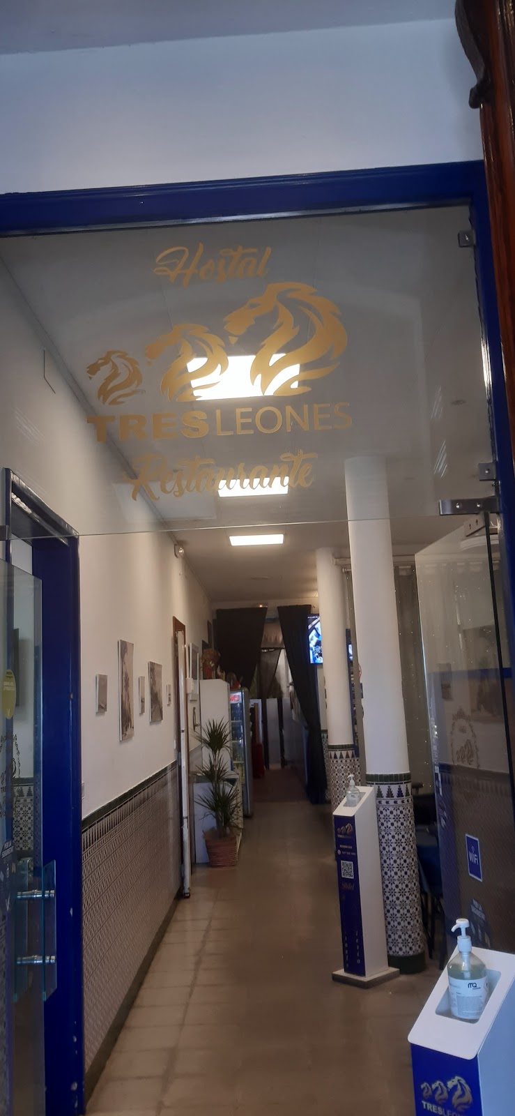 Hotel Tres Leones