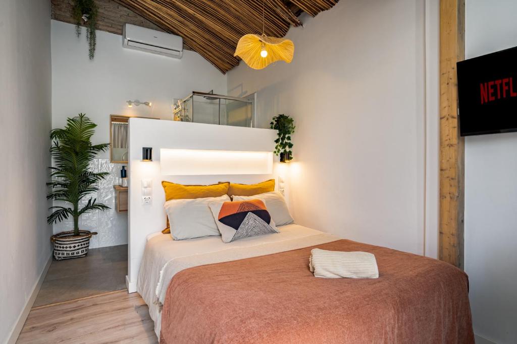 The Urban Jungle Hostel