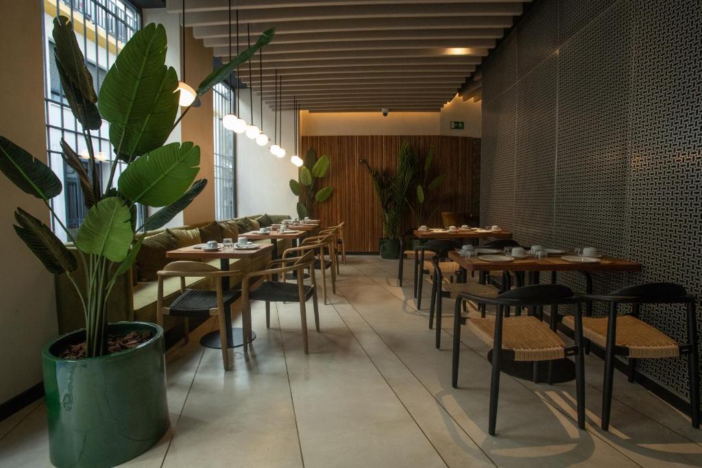 Soho Boutique Catedral