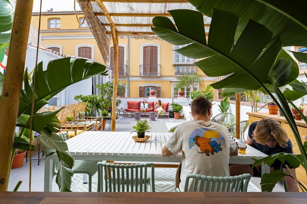 The Urban Jungle Hostel