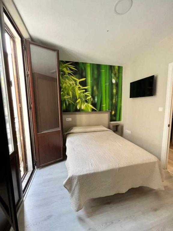 Hostal Viena Plaza Nueva