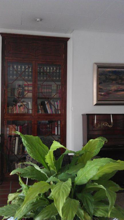 Hotel Maestre