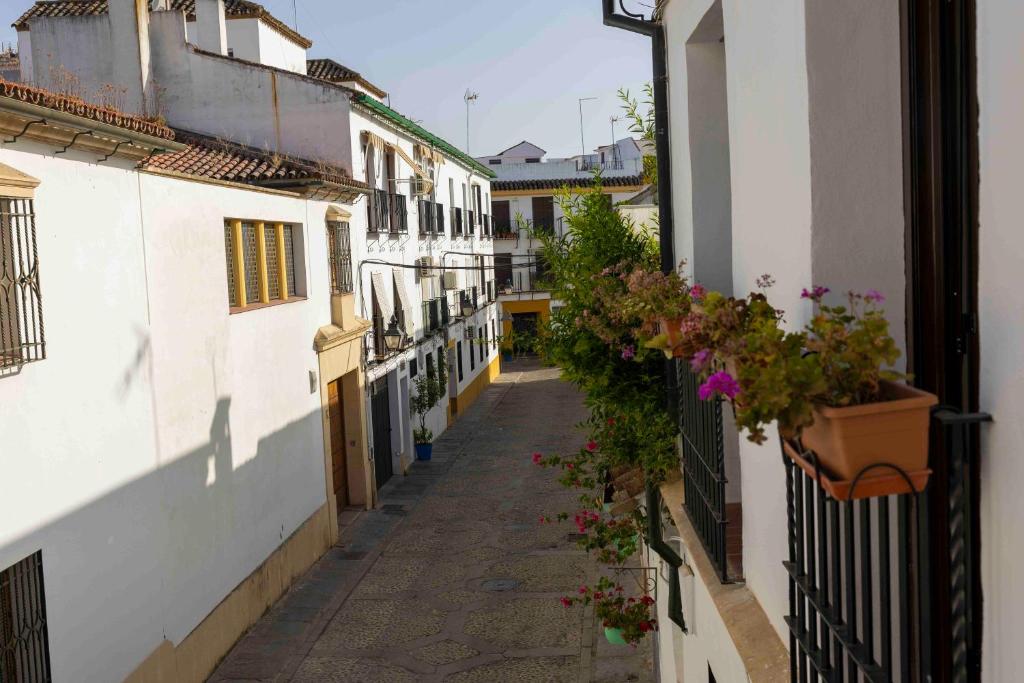 Mira San Basilio