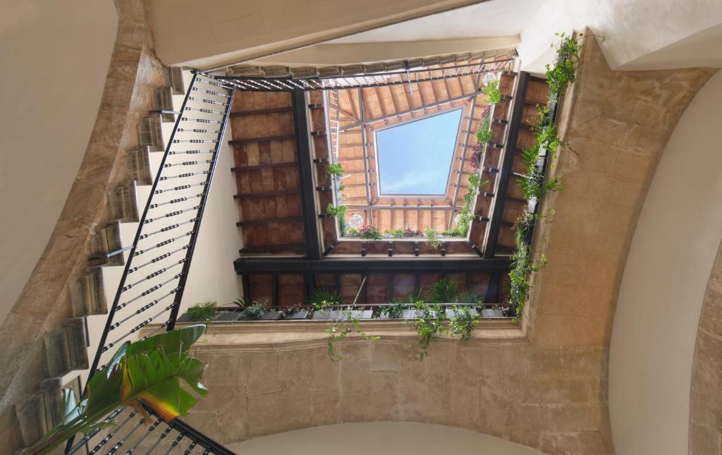 Antigua Palma Casa Noble