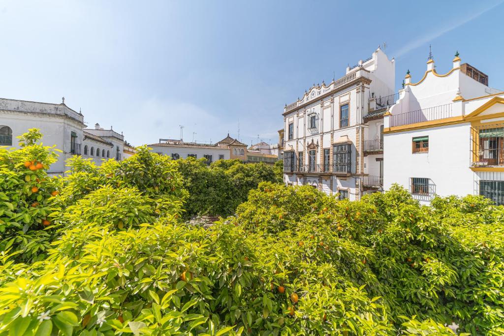 Rey Don Pedro Luxury Home