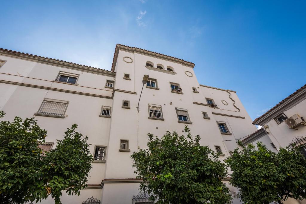 Apartamento Segalerva Centro