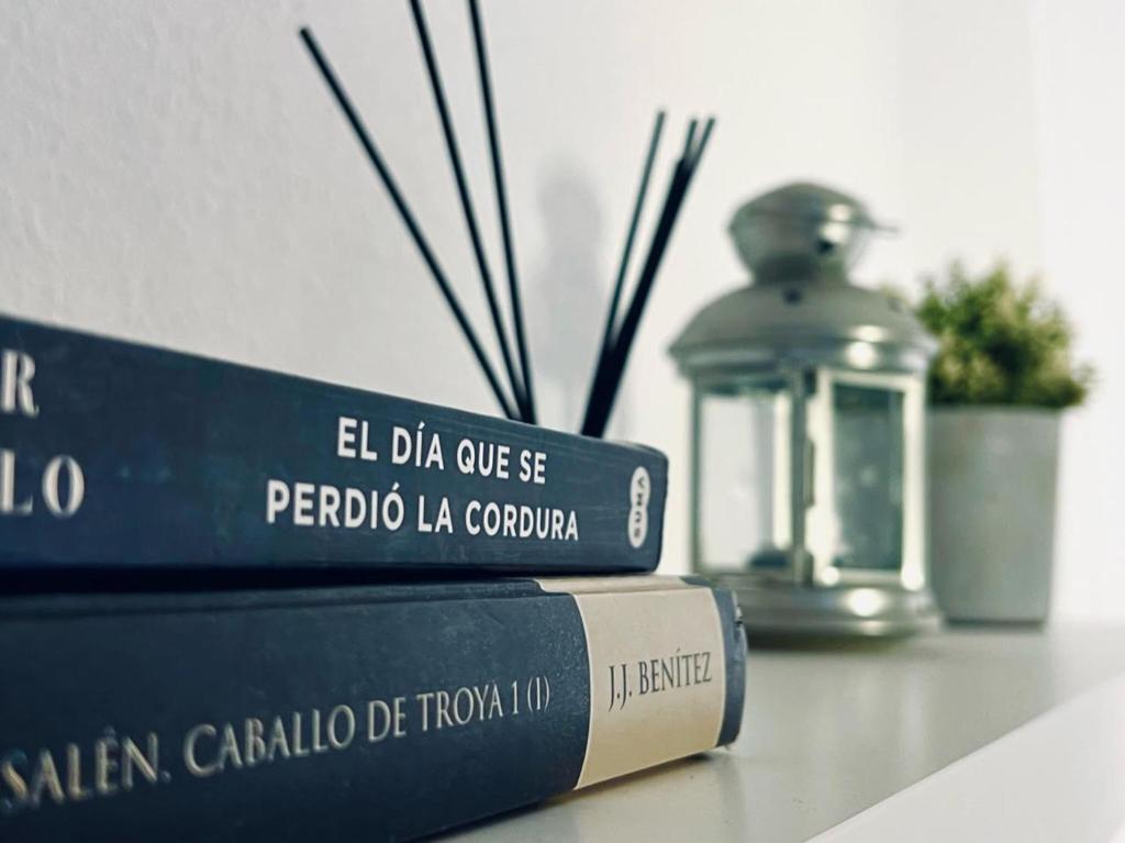 Apartamento Pintor Palomino