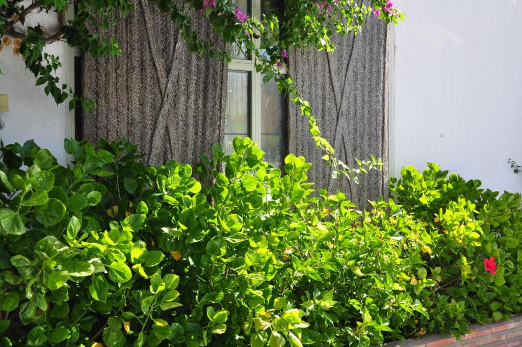 Oasis Cordoba Hotel