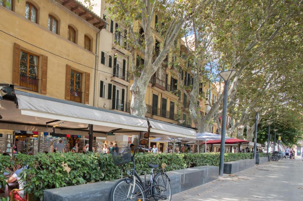 Marsuites Palma – Turismo De Interior Ti 162