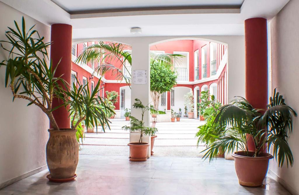 Conde Ibarra Central