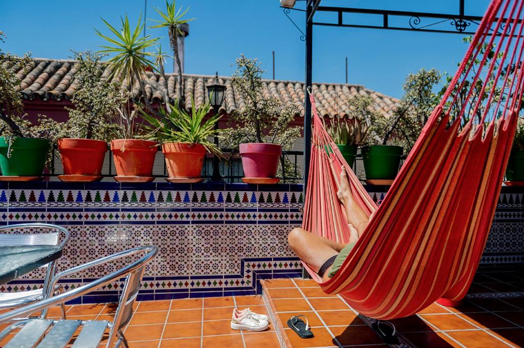 Hostel Triana Backpackers