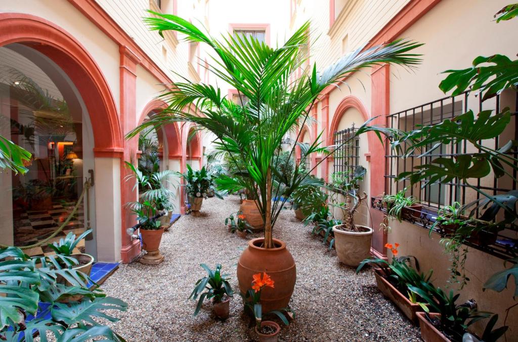 Hotel Doña María