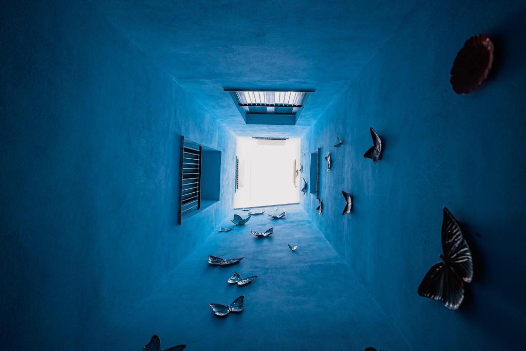 Casa Alhaja By Shiadu