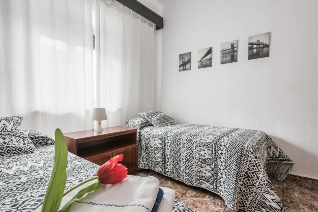 Apartamento Segalerva Centro