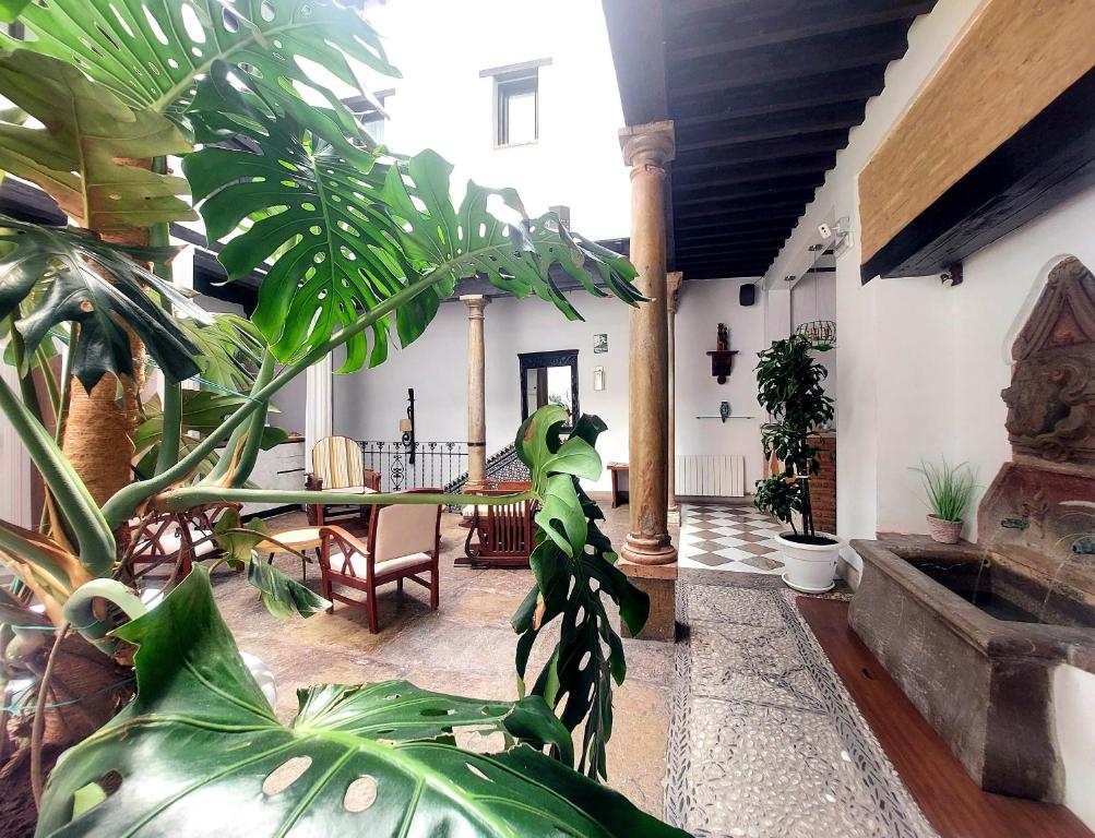 Hotel Rosa De Oro