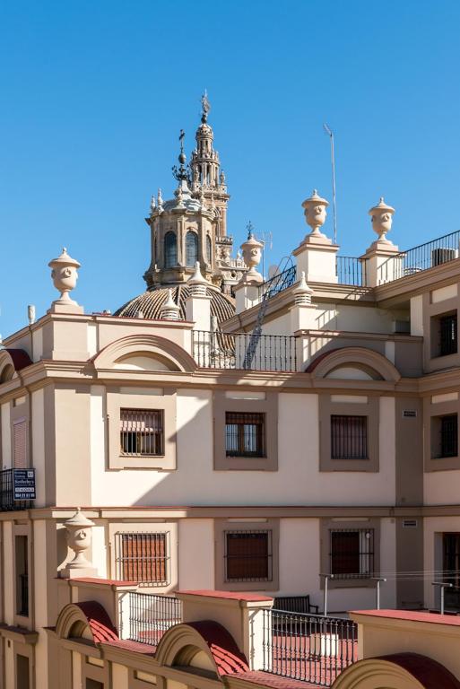 Constitución Terraza