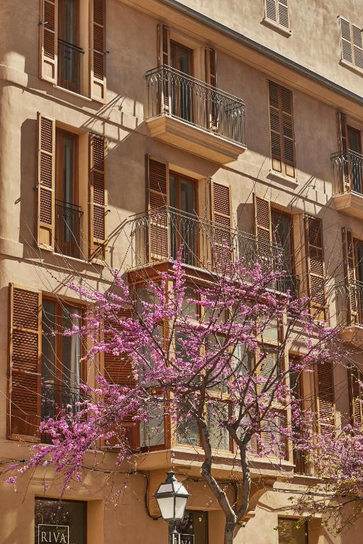 Vila Damunt Suites